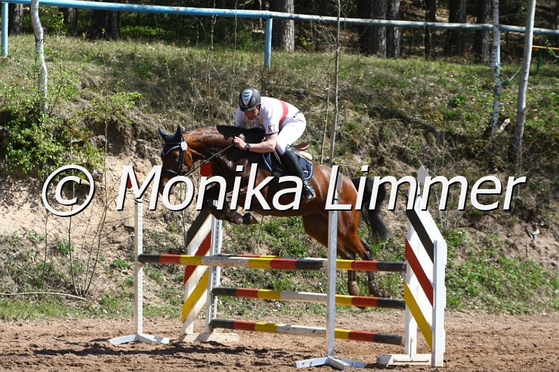 204M8075_Donn Franziska_Springpferde_A.JPG